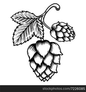 Illustration of beer hop cone in engraving style. Design element for logo, label, sign, emblem, poster. Vector illustration