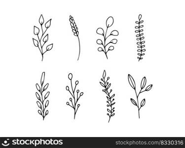 Illustration of black nature plants elements on white background