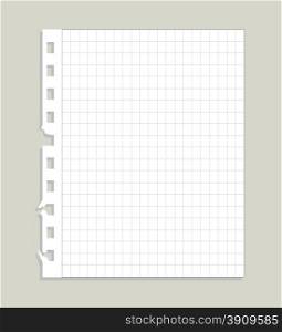 Illustration of blank ripped paper isoalted on white background