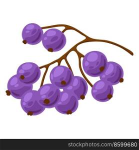 Illustration of blueberry. Decorative image of seasonal ripe berries.. Illustration of blueberry. Decorative image of ripe berries.