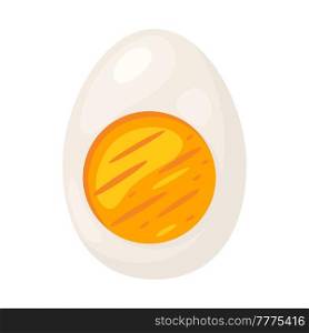Illustration of boiled egg cut. Image for gastronomy, food and agricultural industries.. Illustration of boiled egg cut. Image for food and agricultural industries.