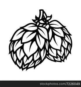 illustration of branch of beer hop in engraving style. Design element for poster, label, sign, emblem, menu. Vector illustration