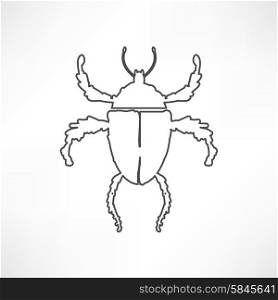 illustration of bug