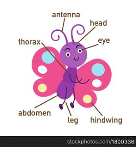 Illustration of butterfly vocabulary part of body.vector