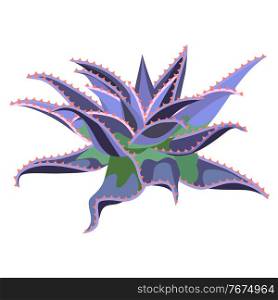 Illustration of cactus. Decorative spiky mexican cacti. Natural image.. Illustration of cactus. Decorative spiky mexican cacti.