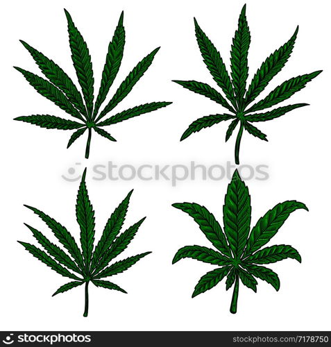 Illustration of cannabis leaf isolated on white background. Design element for poster, banner, t shirt, emblem. Vector illustration