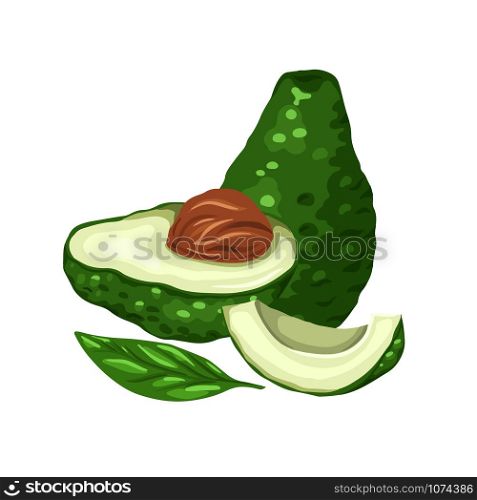 Illustration of cartoon avocados. Various elements of avocado slices with pits and leaves. Keto diet. Ingredients for Guacomole. Vector element for menus, articles, cards and your design.. Illustration of cartoon avocados. Various elements of avocado slices with pits and leaves. Keto diet. Ingredients for Guacomole. Vector element