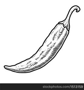 Illustration of chili pepper in engraving style. Design element for logo, label, sign, emblem, poster. Vector illustration