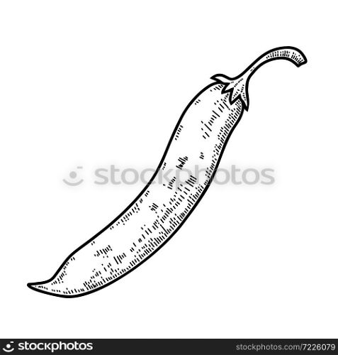 Illustration of chilli pepper in engraving style. Design element for logo, label, sign, emblem, poster. Vector illustration