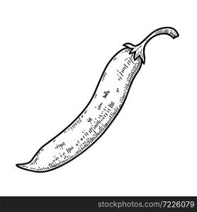 Illustration of chilli pepper in engraving style. Design element for logo, label, sign, emblem, poster. Vector illustration