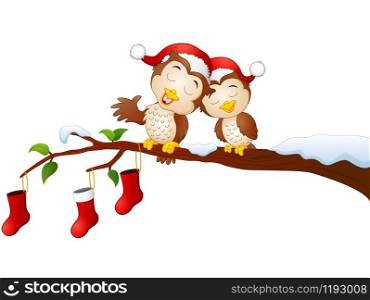 Illustration of Christmas couple owls on the tree branch with christmas socks