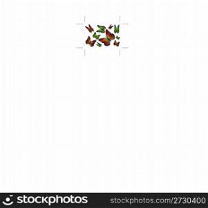 illustration of collection of butterflies on isolated background