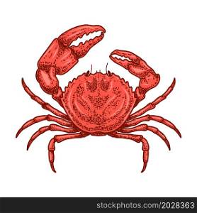 Illustration of crab in engraving style. Design element for logo, emblem, sign, poster, card, banner. Vector illustration