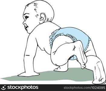 illustration of Crawling baby boy in diaper
