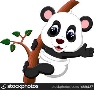 illustration of cute baby panda cartoon
