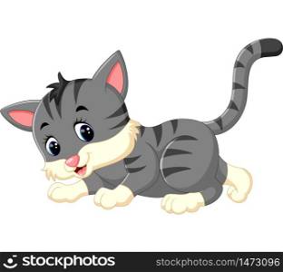 illustration of cute cat cartoon