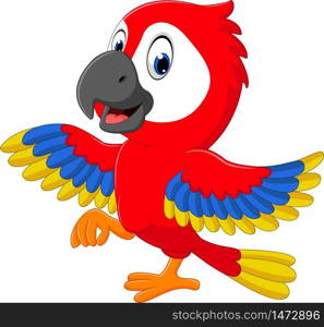 illustration of cute macaw cartoon