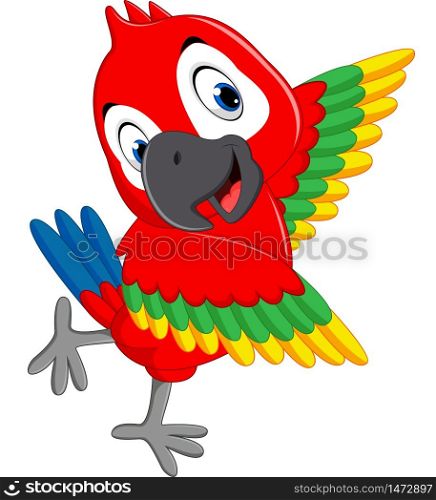illustration of cute macaw cartoon