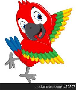 illustration of cute macaw cartoon