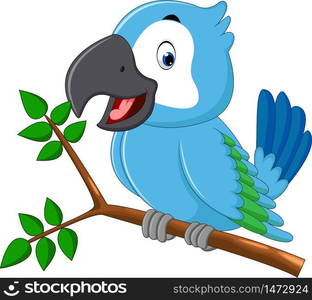 illustration of cute macaw cartoon