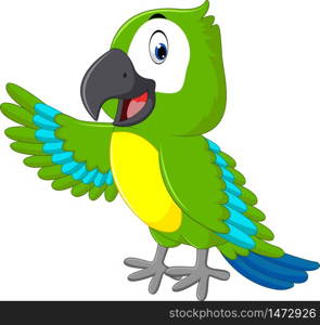 illustration of cute macaw cartoon