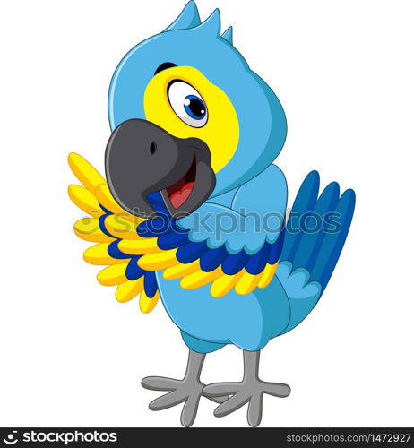 illustration of cute macaw cartoon