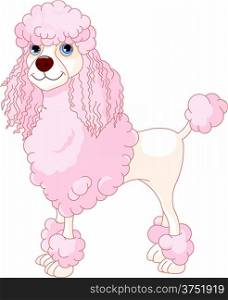 Illustration of cute Pink Poodle