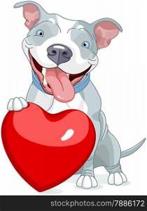 Illustration of Cute Pit Bull Dog holds heart