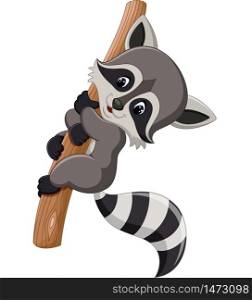 illustration of cute raccoon cartoon