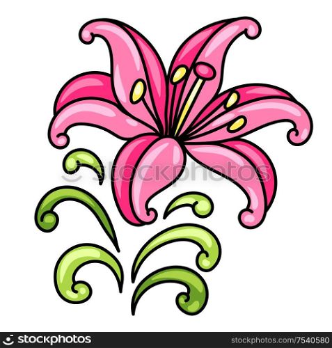 Illustration of decorative lily. Ornamental pink flower.. Illustration of decorative lily.