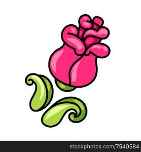 Illustration of decorative rose. Ornamental pink flower.. Illustration of decorative rose.