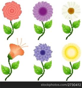 illustration of different flowers on white background