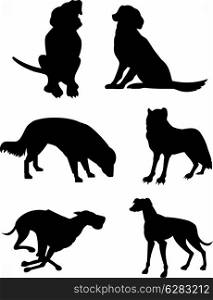 Illustration of different kinds of canines silhouettes isolated on a white background.