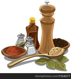 illustration of different natural spices and flavors for cooking. flavors for cooking