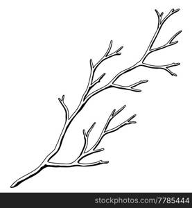 Illustration of dry bare branch. Decorative natural twig. Autumn or winter plant.. Illustration of dry bare branch. Decorative natural twig.