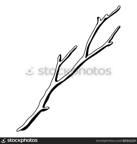 Illustration of dry bare branch. Decorative natural twig. Autumn or winter plant.. Illustration of dry bare branch. Decorative natural twig.