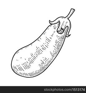 Illustration of eggplant in engraving style. Design element for logo, label, sign, emblem, poster. Vector illustration