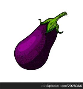 Illustration of eggplant in engraving style. Design element for poster, card, banner, menu. Vector illustration