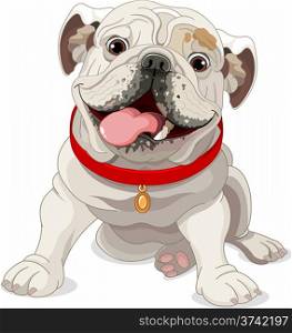 Illustration of English bulldog with red collar