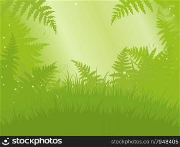 Illustration of fern meadow background