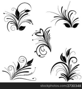 illustration of floral background on white background
