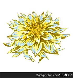 Illustration of fluffy yellow dahlia. Beautiful decorative flower.. Illustration of fluffy yellow dahlia.