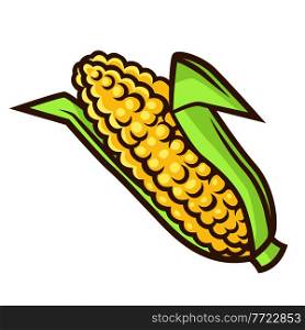 Illustration of fresh ripe corn. Autumn harvest of vegetables. Food item for farms, markets and shops. Icon or promotional image.. Illustration of fresh ripe corn. Autumn harvest of vegetables. Food item for farms, markets and shops.