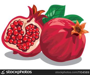 illustration of fresh ripe pomegranates with leaves. fresh ripe pomegranates