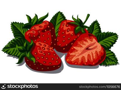 illustration of fresh ripe strawberries with leaves. fresh ripe strawberries