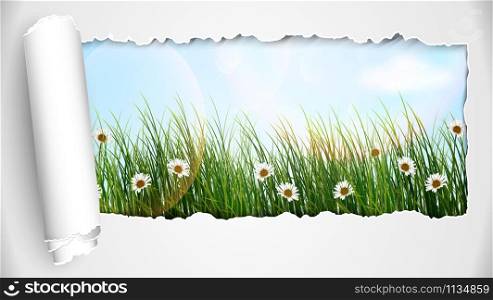 Illustration of fresh spring grass with flowers on a sunny day. vector illustration