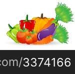 illustration of fresh vegetables on isolated background