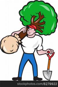 Illustration of gardener arborist tree surgeon carrying a tree and holding shovel viewed from front on isolated white background done in cartoon style.. Gardener Arborist Carrying Tree Cartoon