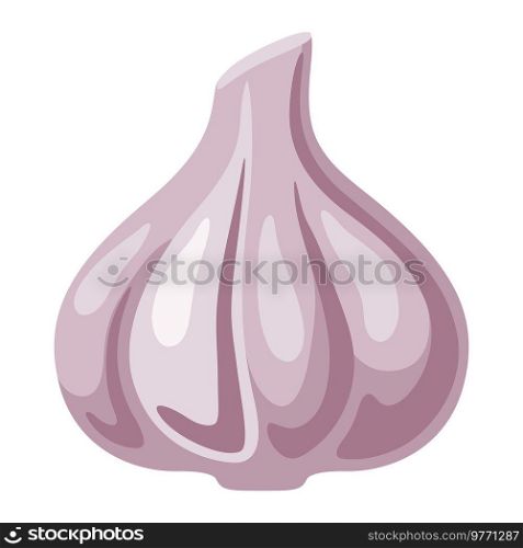 Illustration of garlic. Image for culinary and agricultural production.. Illustration of garlic. Image for culinary and agriculture.