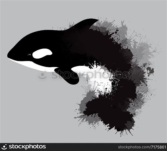 Illustration of grampus with watercolor splashes. Vector killer whale for your design.. Illustration of grampus with watercolor splashes.